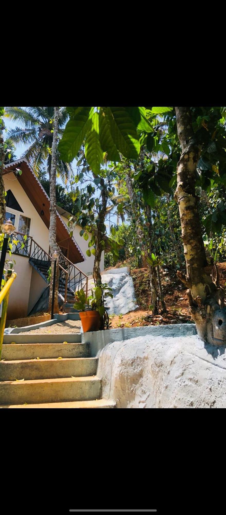 Wood Castle Munnar Guest House ภายนอก รูปภาพ